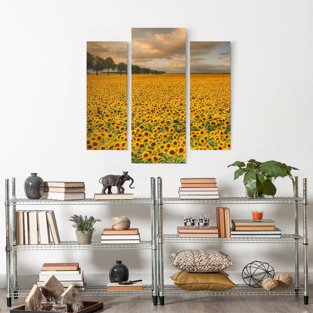 Nowoczesne obrazy do salonu Pole z słonecznikami