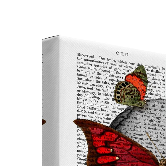 Obrazy na płótnie zwierzęta Ciekawe czytanie - Zestaw masek motyli I