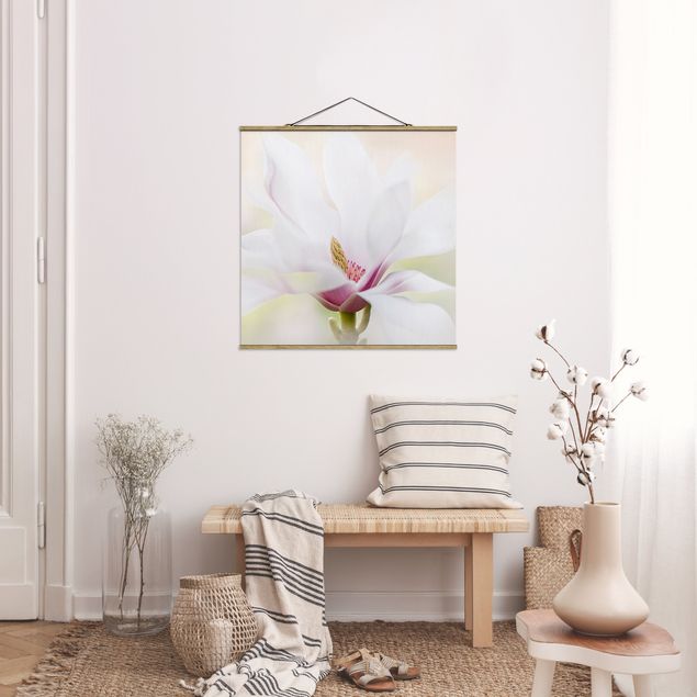 Nowoczesne obrazy Czuły kwiat magnolii