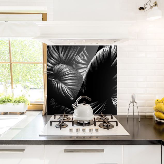 Panel szklany do kuchni czarno-biały Botany Hosta