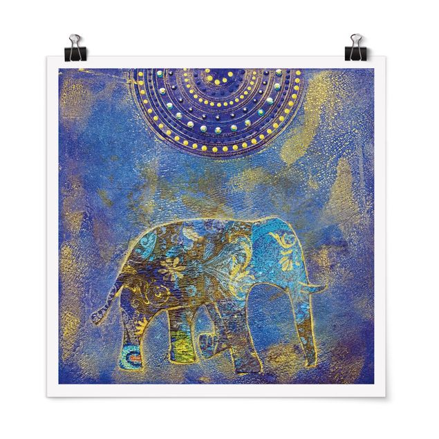 Obrazy nowoczesne Słonie w Marrakeszu