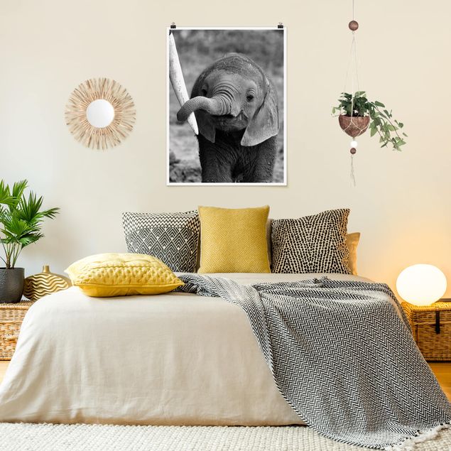 Nowoczesne obrazy Baby słoń