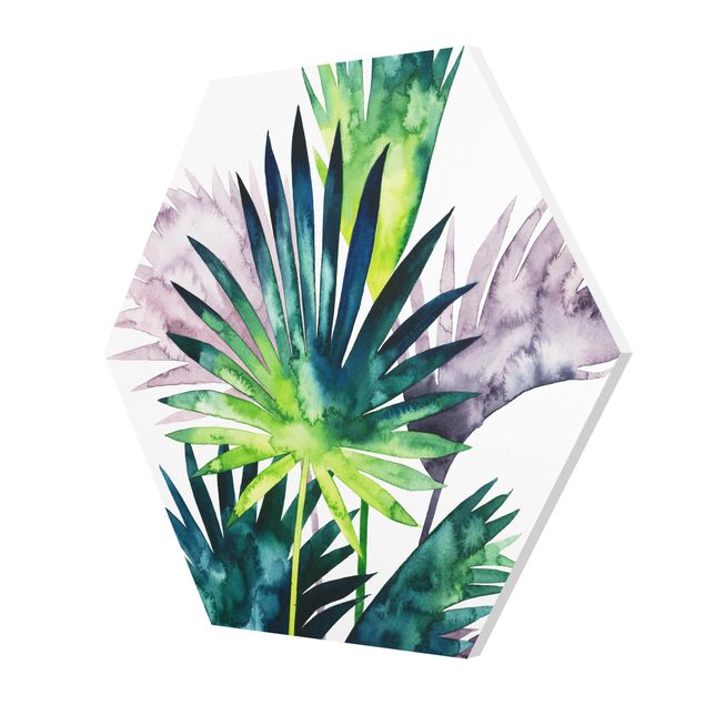 Obrazy na ścianę Egzotyczne liście - Fan Palm