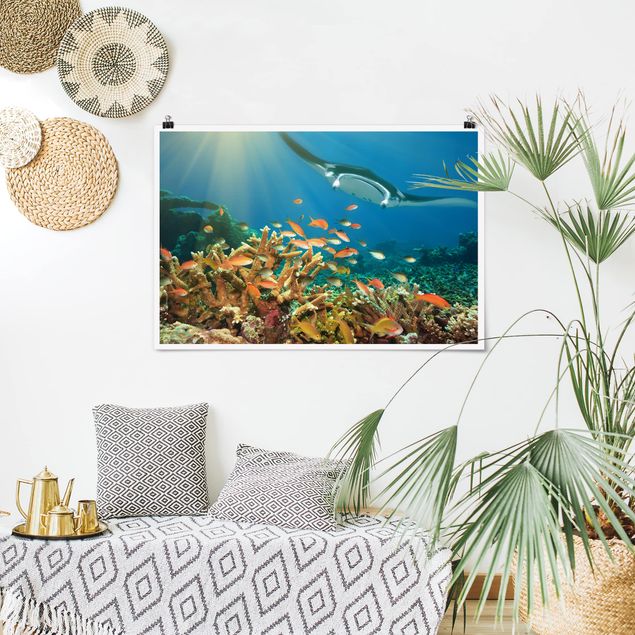 Nowoczesne obrazy do salonu Refa koralowa