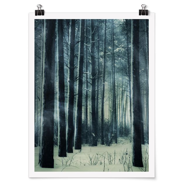 Obraz drzewo Mistyczny las zimowy