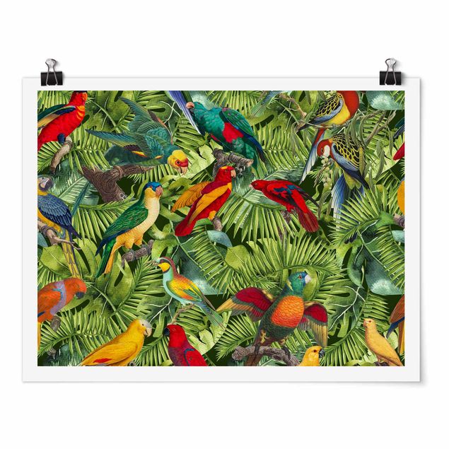 Obrazy zwierzęta Kolorowy kolaż - Papugi w dżungli