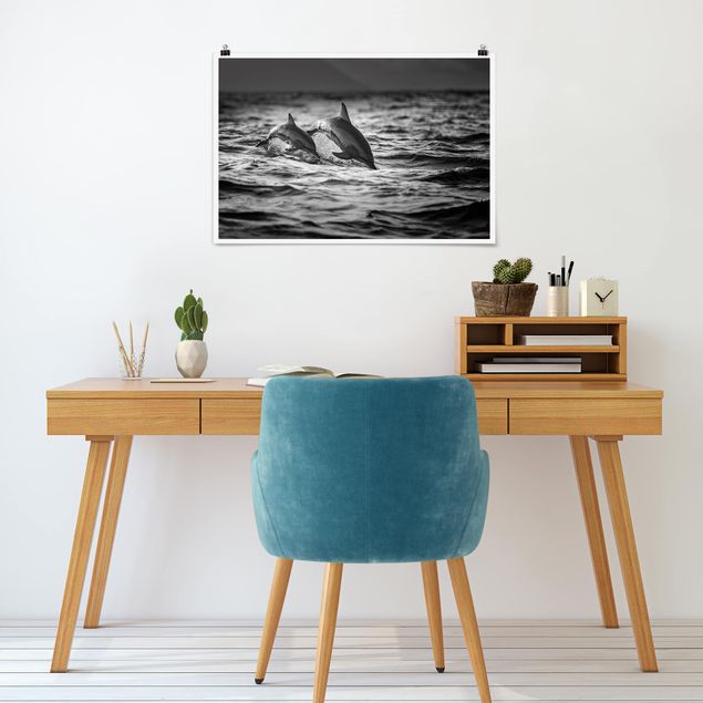 Obrazy nowoczesny Dwa skaczące delfiny