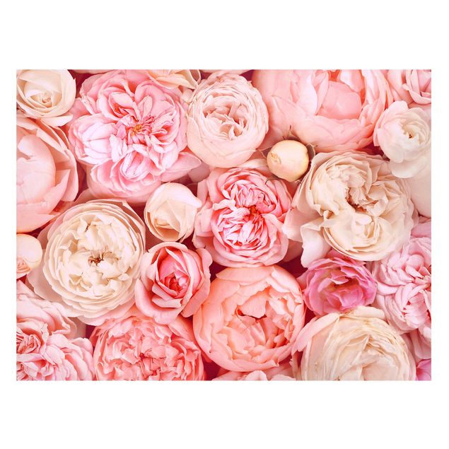 Obrazy do salonu Rosy Rosé Coral Shabby