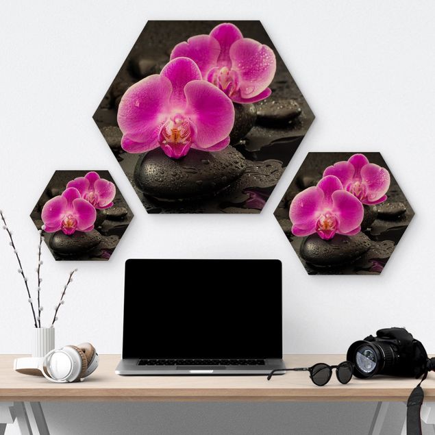 Obrazy drewniane Kwiaty różowej orchidei na kamieniach z kroplami