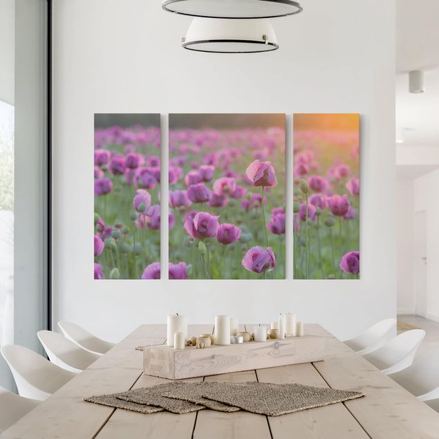 Obrazy na płótnie maki Fioletowa łąka z makiem opium wiosną