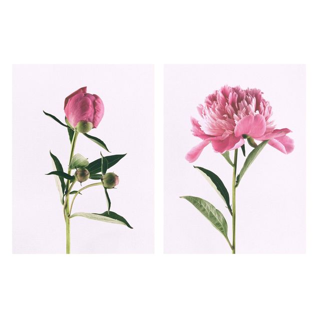 Obrazy kwiatowe Ołówki różowe