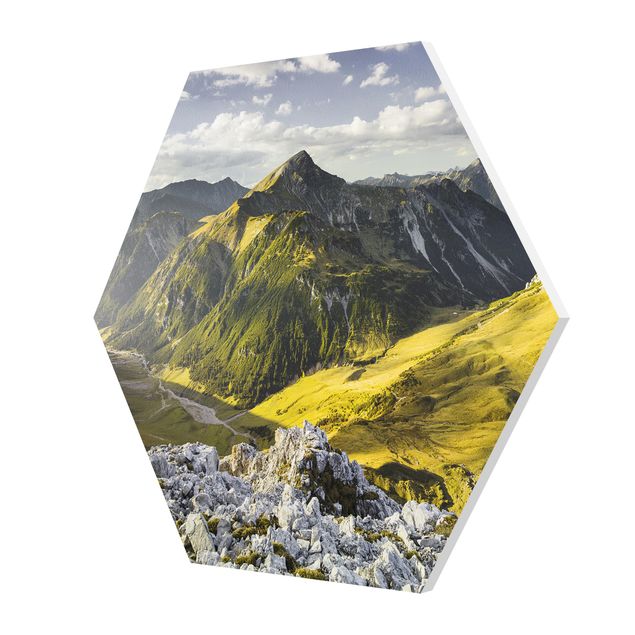 Zielony obraz Góry i dolina w Alpach Lechtalskich w Tyrolu