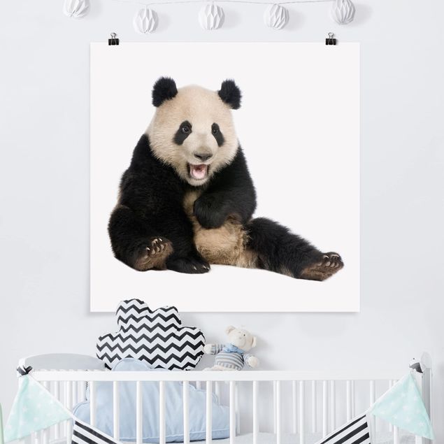 Obrazy nowoczesne Śmiejąca się panda