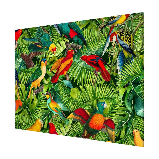 Obrazy nowoczesny Kolorowy kolaż - Papugi w dżungli