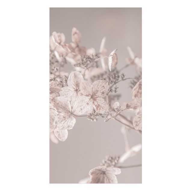 Tylna ścianka prysznicowa - Delicate White Hydrangea