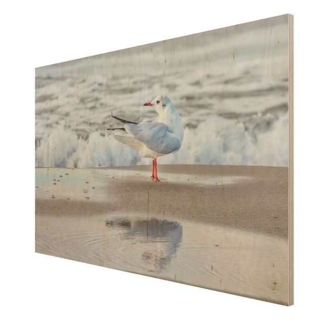 Obrazy Mewa na plaży przed morzem