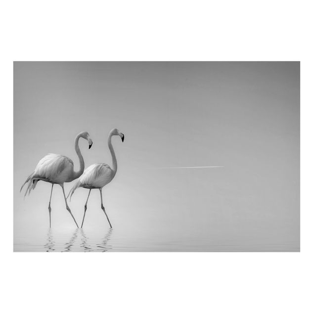 Obrazy do salonu nowoczesne Flamingo Love Czarno-biały