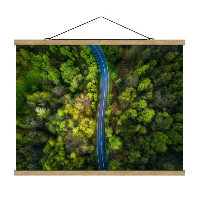 Obrazy drzewa Zdjęcie lotnicze - Droga asfaltowa w lesie