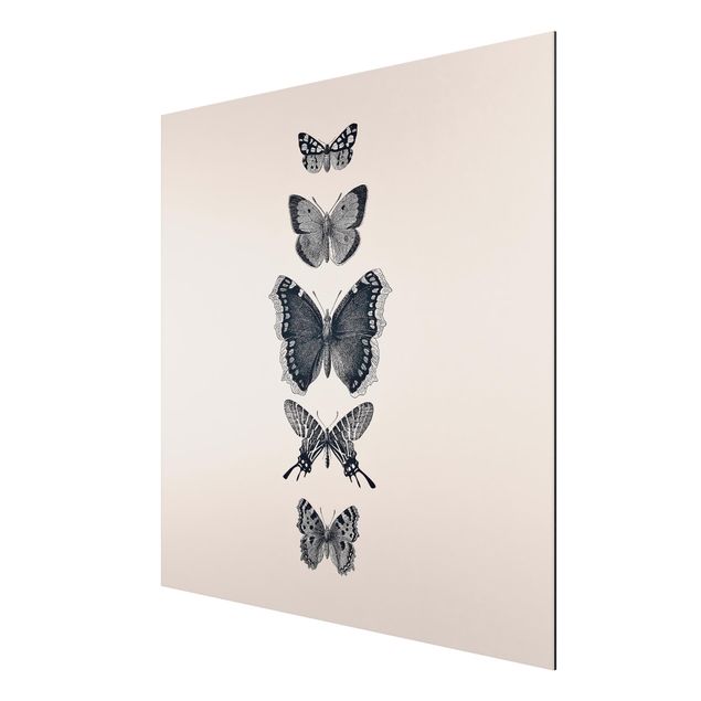 Obrazy nowoczesny Motyle z atramentu na beżowym tle