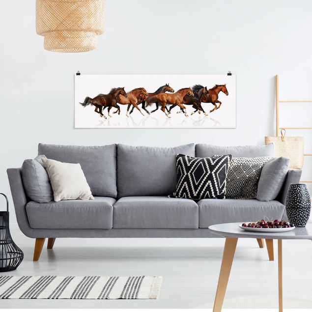 Obrazy nowoczesne Stado koni