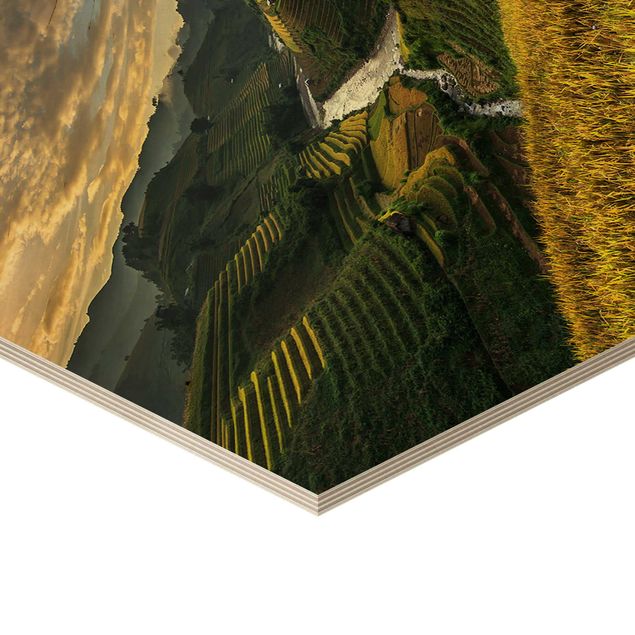 Obraz heksagonalny z drewna - Plantacje ryżu w Wietnamie