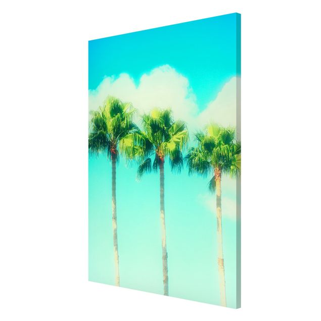 Obrazy nowoczesne Palmy na tle błękitu nieba