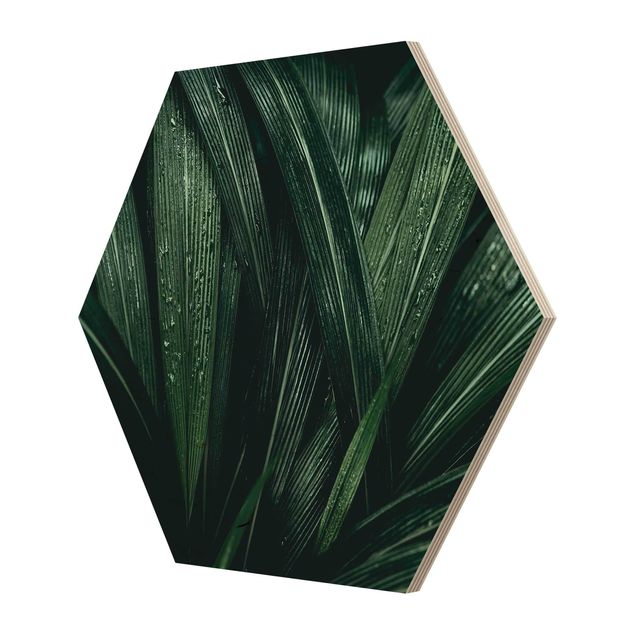 Obraz heksagonalny z drewna - Zielone liście palmy