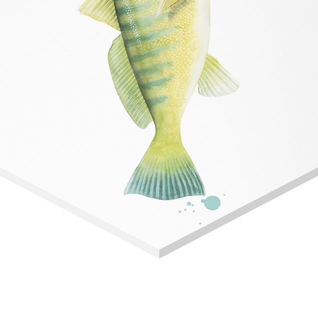 Obraz heksagonalny z Forex 4-częściowy - Kolorowy połów - zestaw ryb I