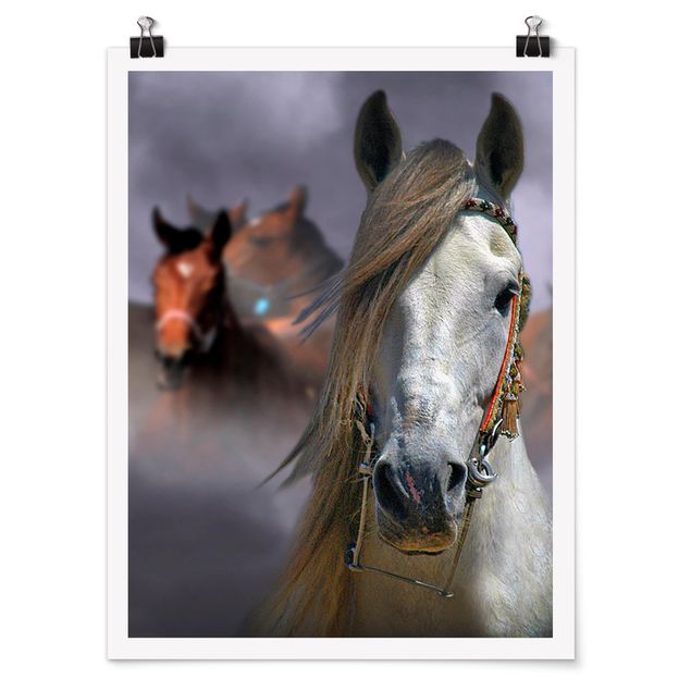 Obraz kon Konie w kurzu