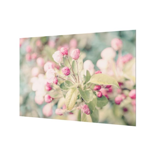Panel szklany do kuchni - Apple Blossom Bokeh Light Pink
