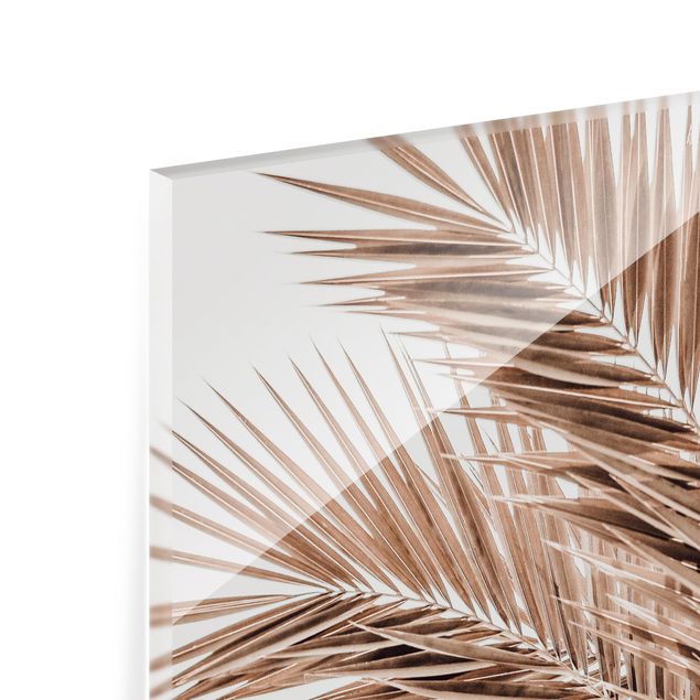 Panel szklany do kuchni - Brązowe liście palmy