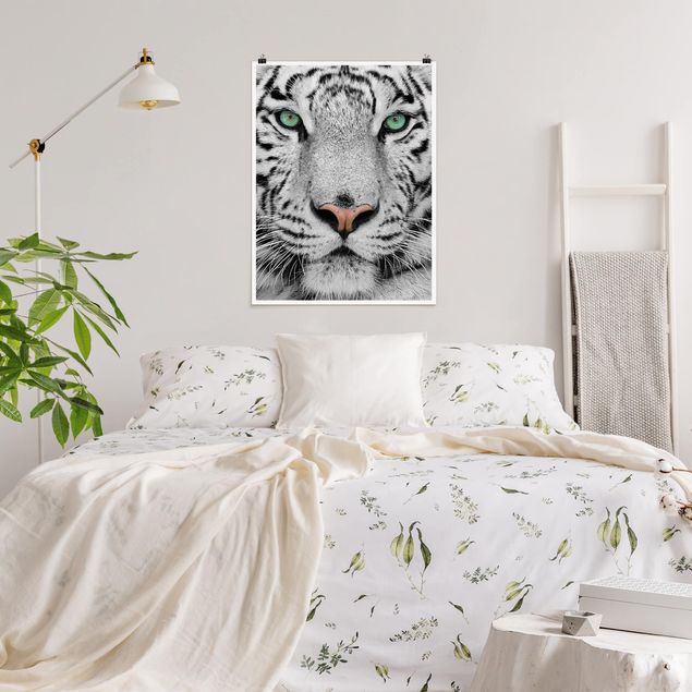Nowoczesne obrazy Biały tygrys