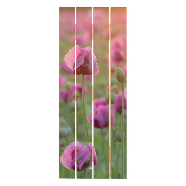 Obrazy na drewnie Fioletowa łąka z makiem opium wiosną
