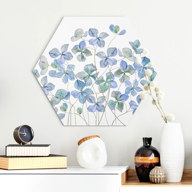 Obraz heksagonalny z Alu-Dibond - Błękitne kwiaty hortensji