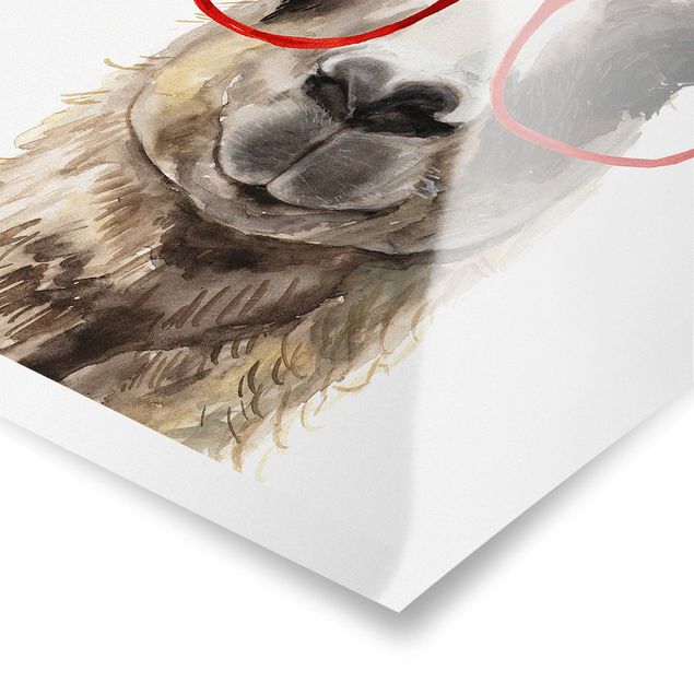 Plakat o zwierzętach Hippy Llama w okularach II