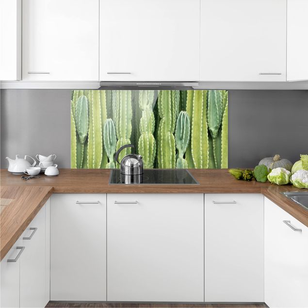 Panele szklane do kuchni Ściana kaktusów