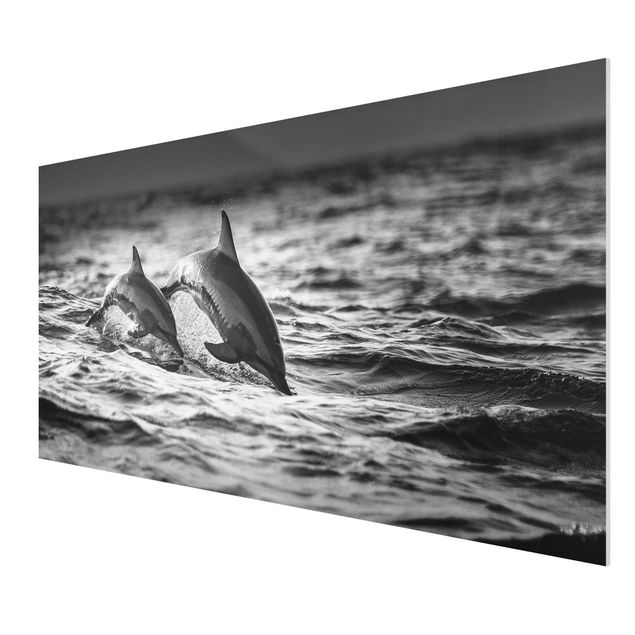 Nowoczesne obrazy Dwa skaczące delfiny