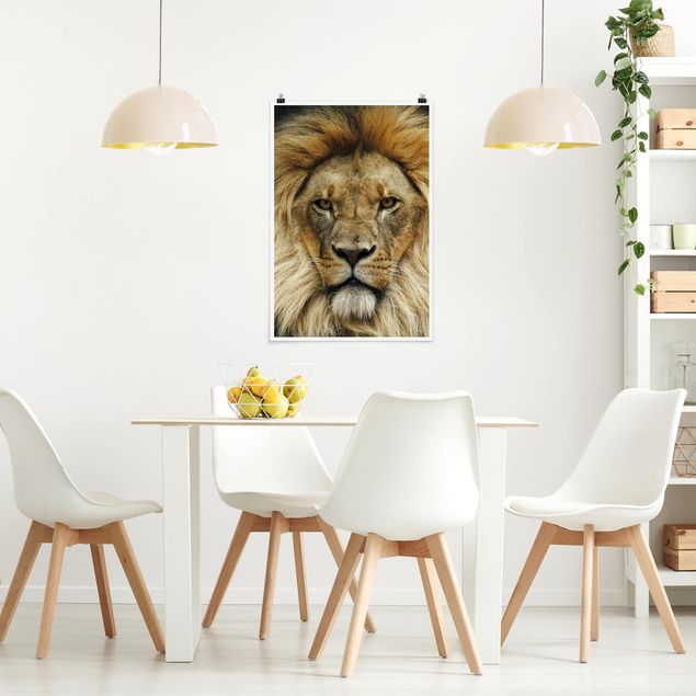 Nowoczesne obrazy Mądrość lwa