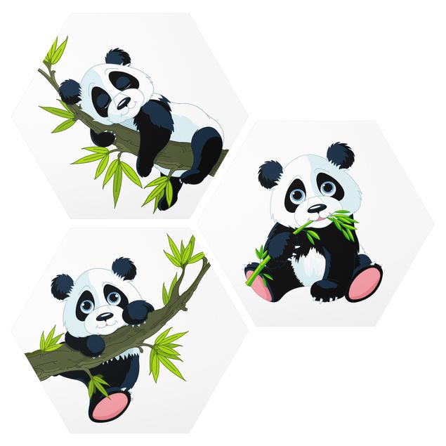Zwierzęta obrazy Zestaw misiów panda