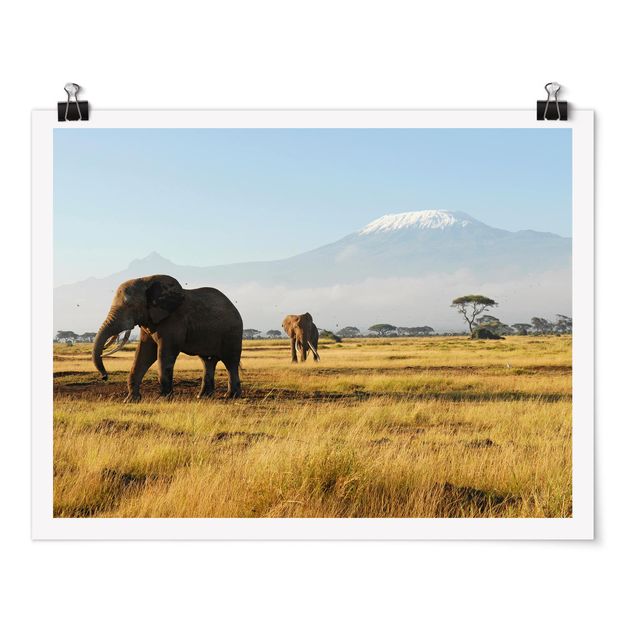 Góry obraz Słonie na tle Kilimandżaro w Kenii