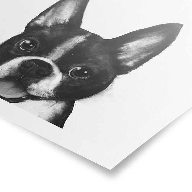 Obraz psa Ilustracja pies Boston czarno-biały Painting