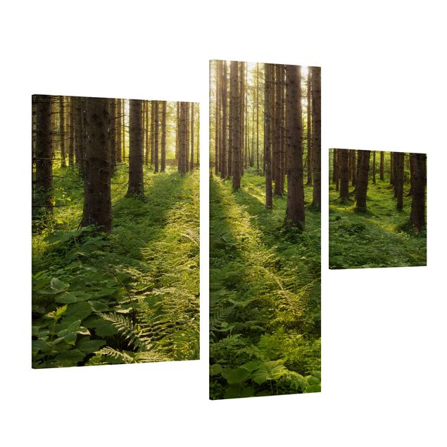 Obraz na płótnie 3-częściowy - Promienie słońca w zielonym lesie