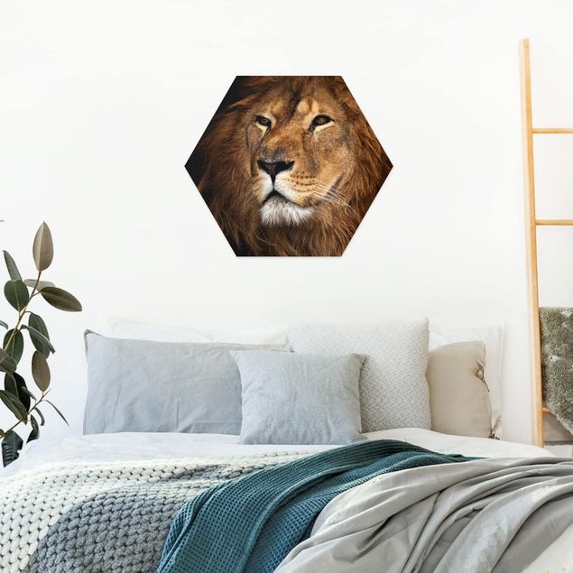 Obrazy nowoczesne Widok lwa