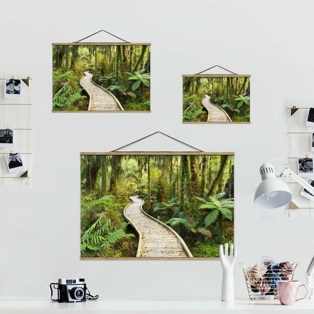 Obrazy dżungla Ścieżka w dżungli