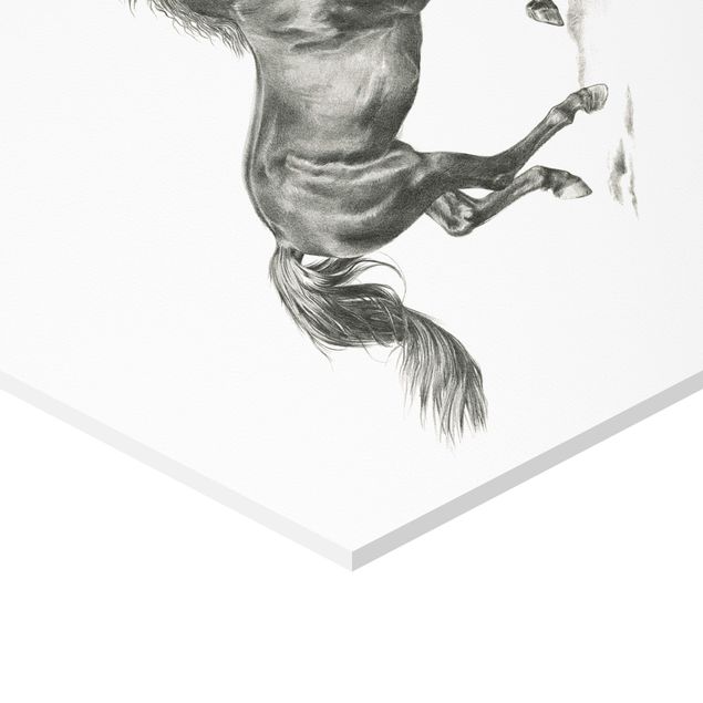 Obraz heksagonalny z Forex 2-częściowy - Zestaw do badania dzikich koni I
