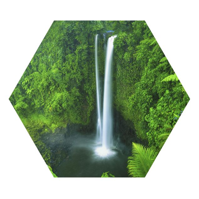 Obrazy krajobraz Paradyski wodospad