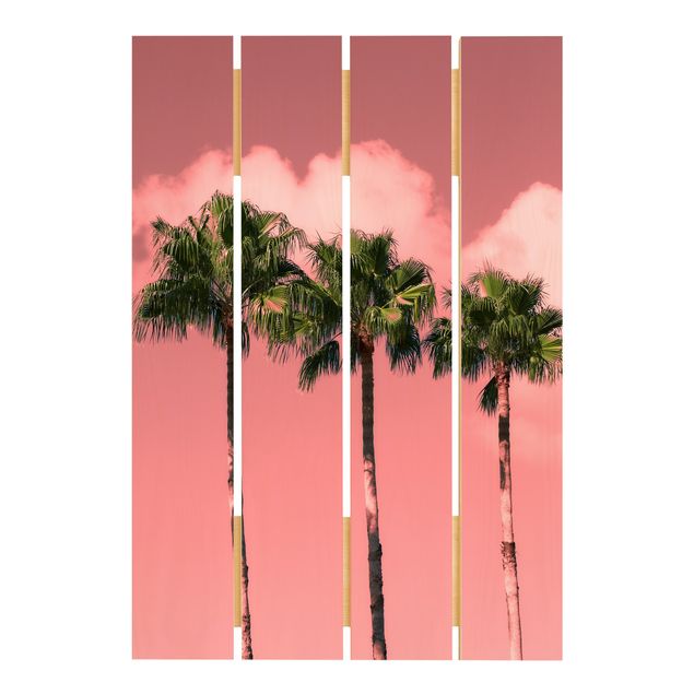 Obrazy na drewnie Palmy przed Sky Pink