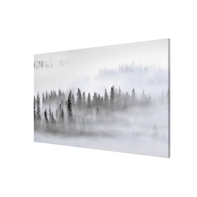 Obrazy nowoczesne Mgła w Puszczy Jodłowej Czarno-biała