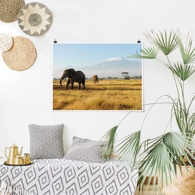 Nowoczesne obrazy do salonu Słonie na tle Kilimandżaro w Kenii