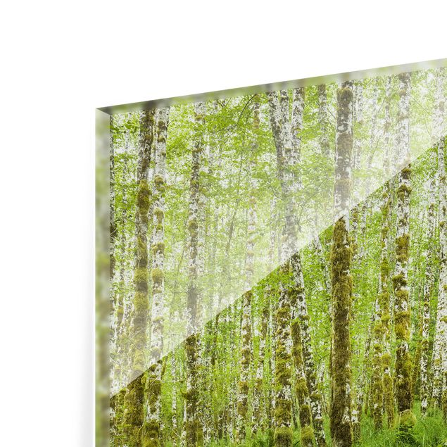 Panel szklany do kuchni - Hoh Rainforest Olympic National Park